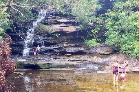 Central Coast Private Tour From Sydney, With Australian Reptile Park Option - Accommodation Newcastle 0