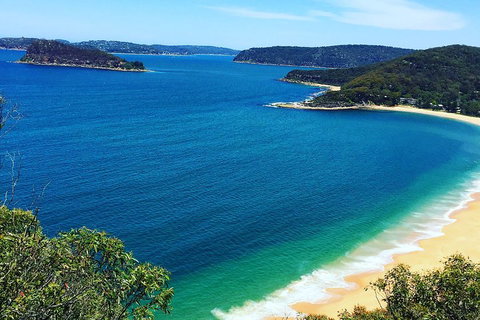 Central Coast Private Tour From Sydney, With Australian Reptile Park Option - Accommodation Newcastle 5