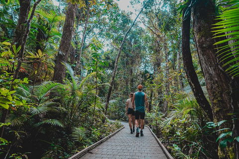Full Day Cooktown Private Tour - Accommodation Newcastle 0