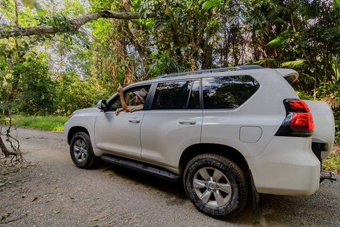 Full Day Cooktown Private Tour - Accommodation Newcastle 3