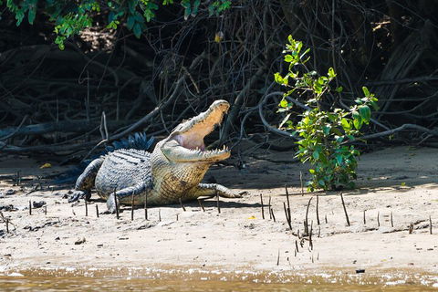Full Day Cooktown Private Tour - Accommodation Newcastle 4