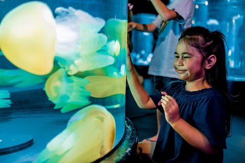 SEA LIFE Sydney Aquarium Entrance Ticket - Accommodation Newcastle 5