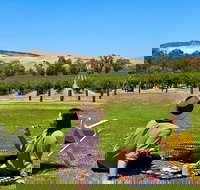 Private Picnic and Wine Tasting Experience in Barossa Valley - Accommodation Newcastle