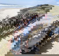 3 Day Tasmanian Wild West Coast Tour from Hobart to Launceston - Accommodation Newcastle
