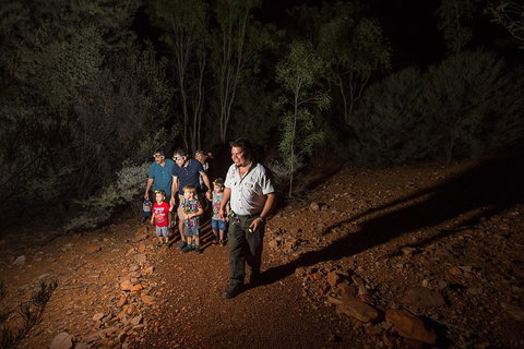 Alice Springs Desert Park Nocturnal Tour - Accommodation Newcastle 0