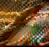 The Perth Mint Guided Heritage Tour and Gold Pour - Accommodation Newcastle