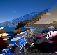 Seal Island Boat Tour from Victor Harbor - Accommodation Newcastle