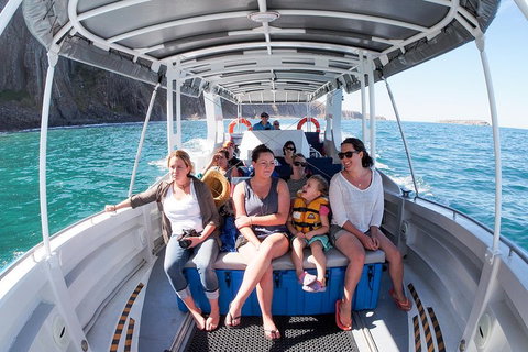Seal Island Boat Tour From Victor Harbor - Accommodation Newcastle 1