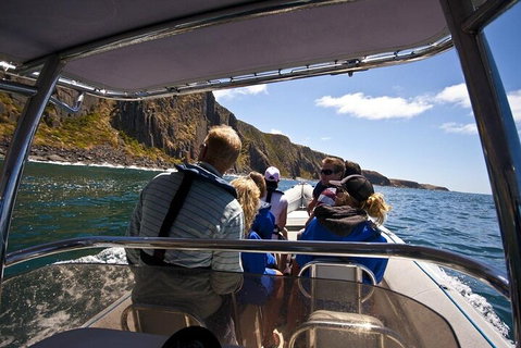 Seal Island Boat Tour From Victor Harbor - Accommodation Newcastle 2