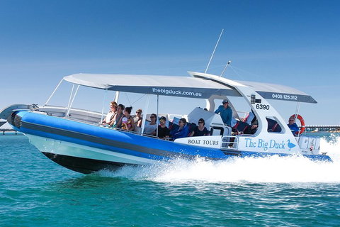 Seal Island Boat Tour From Victor Harbor - Accommodation Newcastle 3