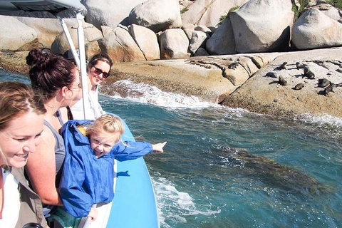 Seal Island Boat Tour From Victor Harbor - Accommodation Newcastle 4