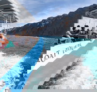 Southern Ocean Adventure from Victor Harbor - Accommodation Newcastle