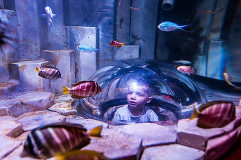 Melbourne BIG Ticket - LEGOLAND Discovery And SEA LIFE Melbourne - Accommodation Newcastle 5