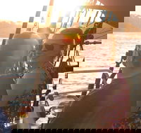 Sydney Harbour Tall Ship Wine  Canapes Evening Cruise - Accommodation Newcastle