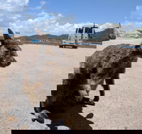 Magnetic Island Tour Maggie Comprehensive - Accommodation Newcastle