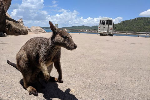 Magnetic Island Tour: Maggie Comprehensive - Accommodation Newcastle 0