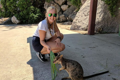 Magnetic Island Tour: Maggie Comprehensive - Accommodation Newcastle 2