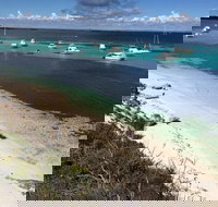 Experience Rottnest with Ferry  Bike Hire from Perth or Fremantle - Accommodation Newcastle