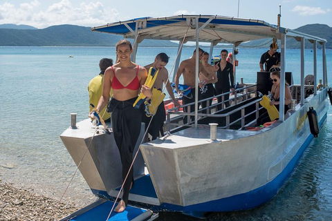 Fitzroy Island Day Trip From Cairns - Accommodation Newcastle 5