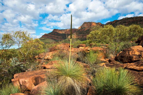 6-Day Eyre Peninsula & Flinders Ranges Adventure Tour - Accommodation Newcastle 1