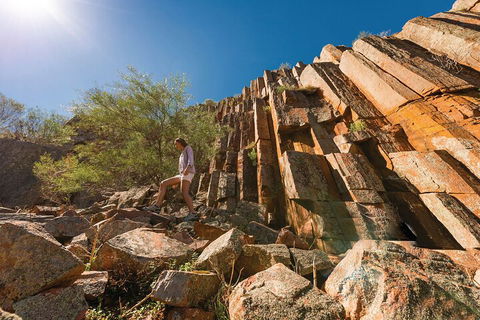6-Day Eyre Peninsula & Flinders Ranges Adventure Tour - Accommodation Newcastle 4