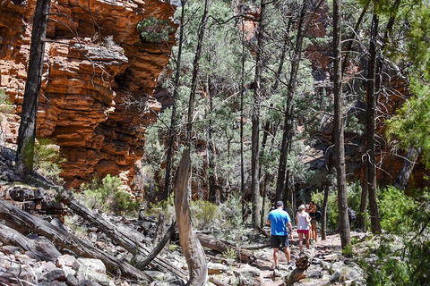 6-Day Eyre Peninsula & Flinders Ranges Adventure Tour - Accommodation Newcastle 5