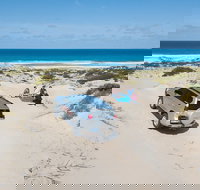 10 Day Adelaide to Perth Private Tour - The Great Australian Wilderness Journey - Accommodation Newcastle