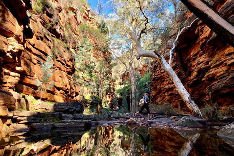 10-Day Adelaide To Perth Adventure Tour - Accommodation Newcastle 5