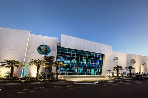 Cairns Aquarium Admission Ticket - Accommodation Newcastle 4