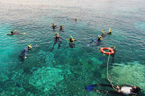 Seastar Luxury Outer Great Barrier Reef Island And Reef Tour From Cairns - Accommodation Newcastle 2