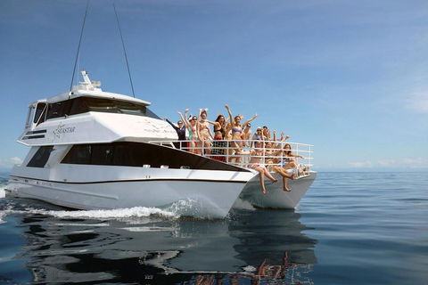 Seastar Luxury Outer Great Barrier Reef Island And Reef Tour From Cairns - Accommodation Newcastle 4