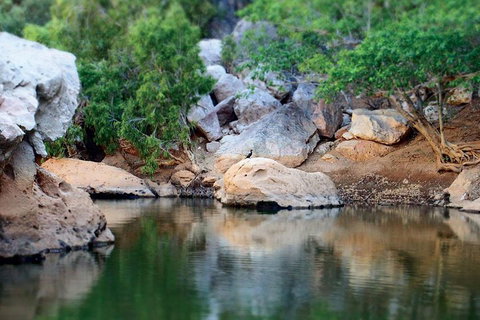 Windjana Gorge And Tunnel Creek 4WD Tour From Broome - Accommodation Newcastle 5