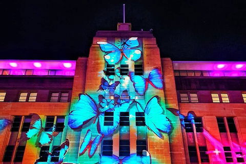 Vivid 90-Minute Sydney Harbour Small Group Catamaran Cruise - Accommodation Newcastle 0