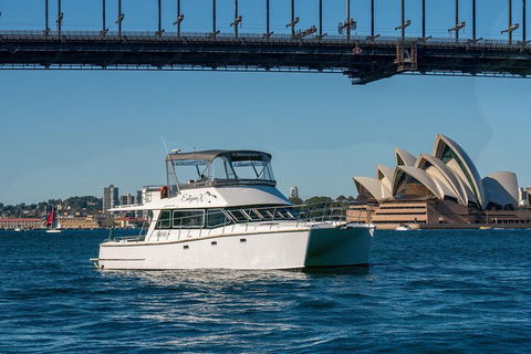Vivid 90-Minute Sydney Harbour Small Group Catamaran Cruise - Accommodation Newcastle 2