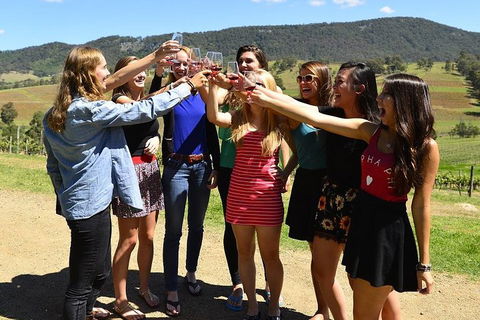 Hunter Valley Wine Tour From Sydney Incl Lunch, Cheese, Chocolate And Distillery - Accommodation Newcastle 3
