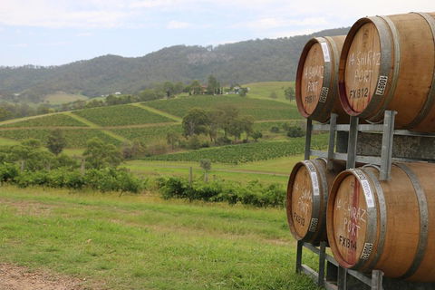Hunter Valley Wine Tour From Sydney Incl Lunch, Cheese, Chocolate And Distillery - Accommodation Newcastle 5