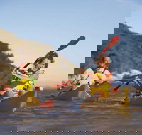 Kangaroo Island Self-Guided Kayaking on the Harriet River - Accommodation Newcastle