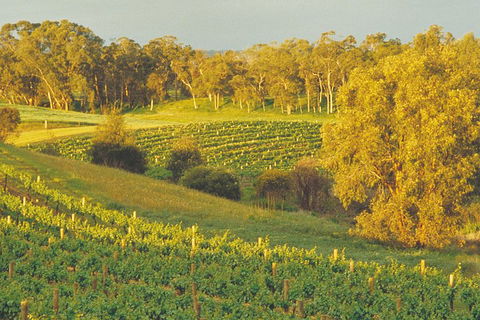 Swan Valley Private Tour - Accommodation Newcastle 2