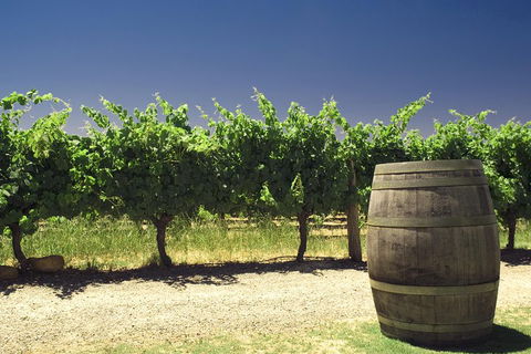 Swan Valley Private Tour - Accommodation Newcastle 4