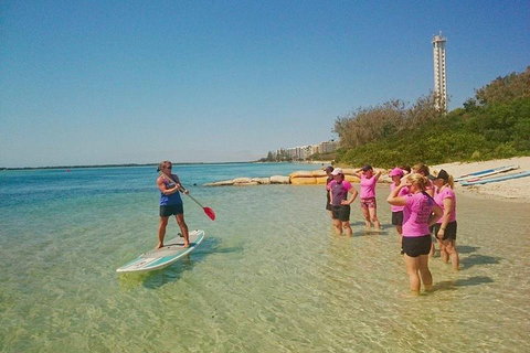 Golden Beach 1-Hour Stand-Up Paddleboard Hire On The Sunshine Coast - Accommodation Newcastle 1