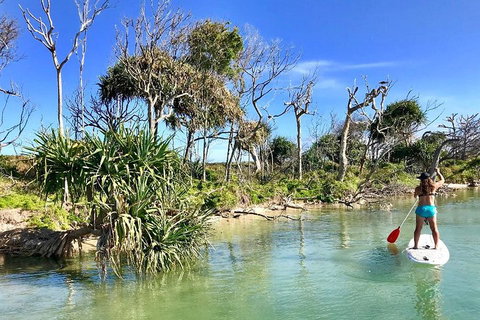 Golden Beach 1-Hour Stand-Up Paddleboard Hire On The Sunshine Coast - Accommodation Newcastle 5