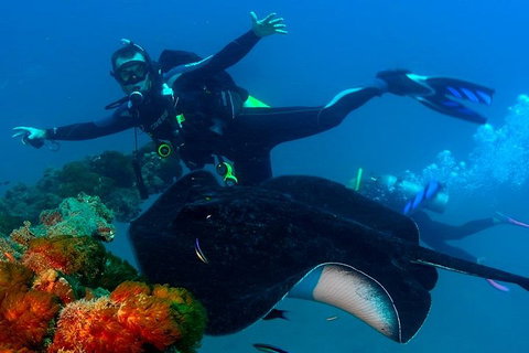 Scuba Dive The S.S. Yongala Wreck On The Great Barrier Reef. - Accommodation Newcastle 0