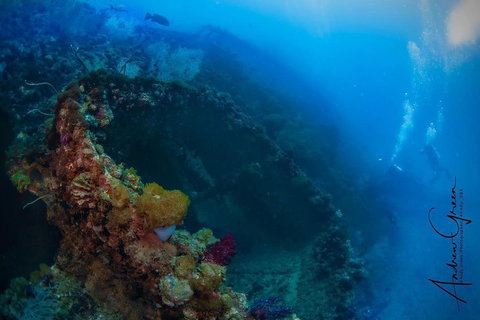 Scuba Dive The S.S. Yongala Wreck On The Great Barrier Reef. - Accommodation Newcastle 3