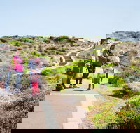 Margaret River Coastal and Wildlife Eco Trip from Busselton or Dunsborough - Accommodation Newcastle